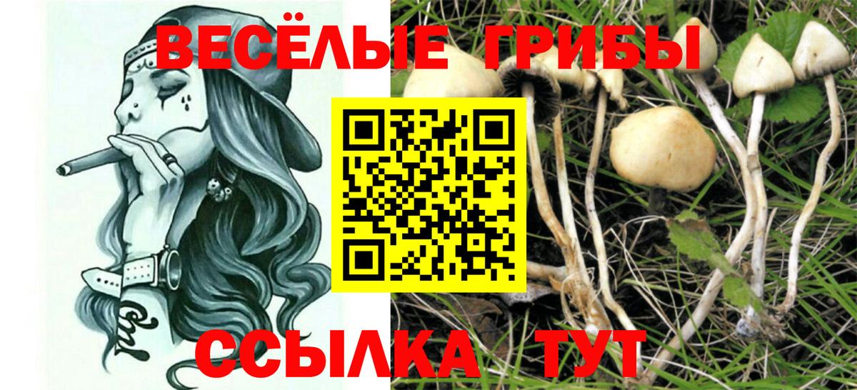 Галлюциногенные грибы GOLDEN TEACHER  Вход с VPN  Ефремов 